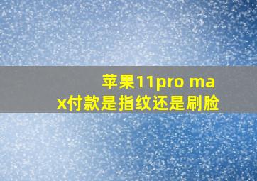 苹果11pro max付款是指纹还是刷脸